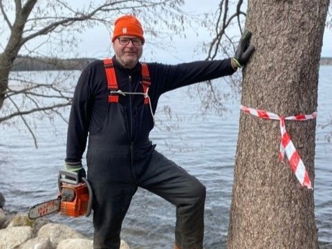 Pankinjohtaja oli Hannes Wallinin lapsuuden haaveammatti. "Eläkkeellä voisin ryhtyä osa-aikaiseksi metsuriksi, jos on vielä pitoa ja vetoa jäntereissä", hän toteaa. 